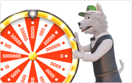 money wheel SmartphoneGambler dog