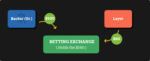 how exchange betting works