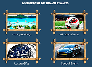 fruit kings top banana rewards selection